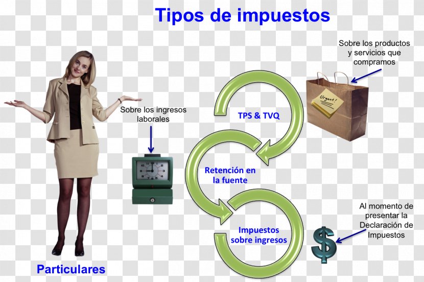 Taxation In Canada Internal Revenue Service Of Chile Tax Preparation Refund - Person - Tipos De Peixes Transparent PNG