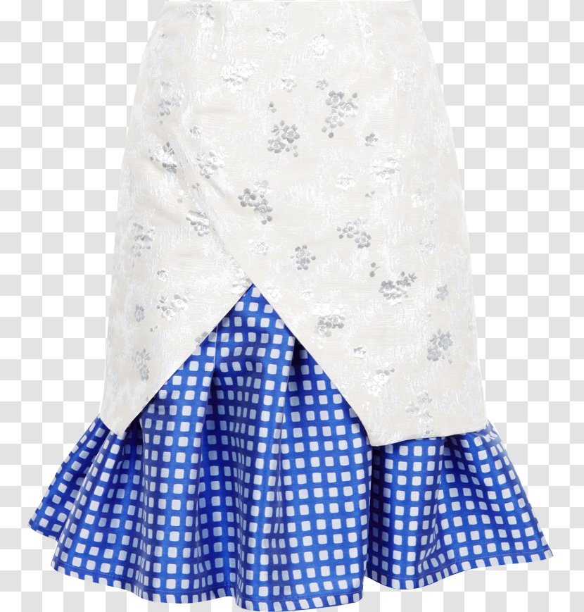 Skirt Dress Clothing Pleat Fashion - Shorts - Underlay Panels Transparent PNG