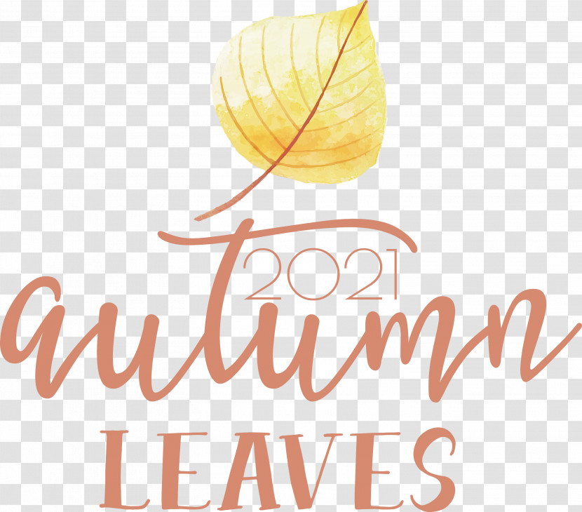 Autumn Leaves Autumn Fall Transparent PNG