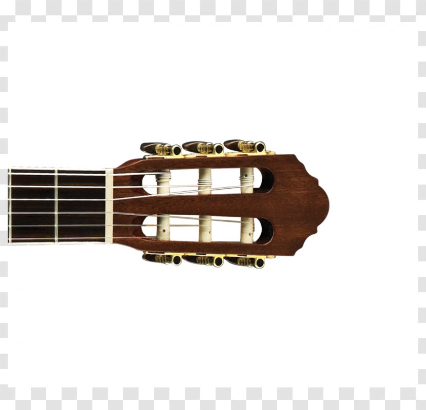 Acoustic Guitar Acoustic-electric Cavaquinho Tiple - String Instrument Accessory - Cool Transparent PNG