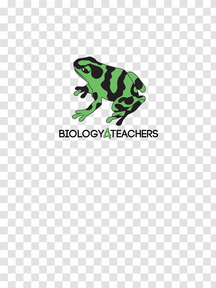 Toad Tree Frog Logo - Brand - Biology Teacher Transparent PNG
