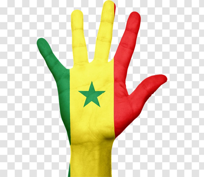 Flag Of Senegal Ivory Coast Belgium - Pirate Parrot Transparent PNG