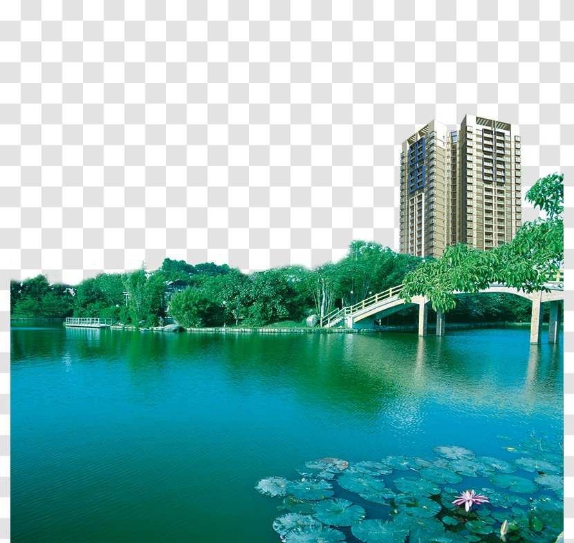 Chaohu Dalian Zhuhai Ningxiang Hefei - Villa - Green Lake Real Estate Transparent PNG
