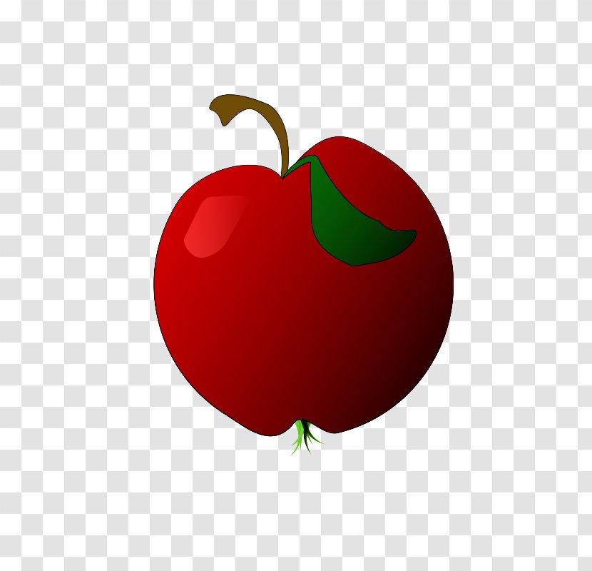 Fruit Red Plant Apple Leaf - Mcintosh Tree Transparent PNG