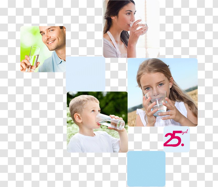 Drinking Water Painting Missouri Nose Transparent PNG