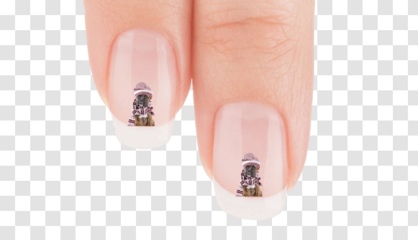 Nail Hand Model - Boykin Spaniel Transparent PNG