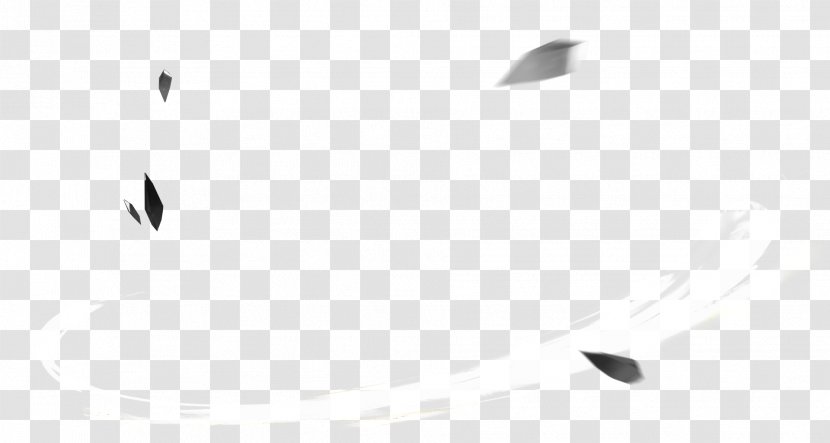 White Pattern - Black - Feathers Falling Transparent PNG