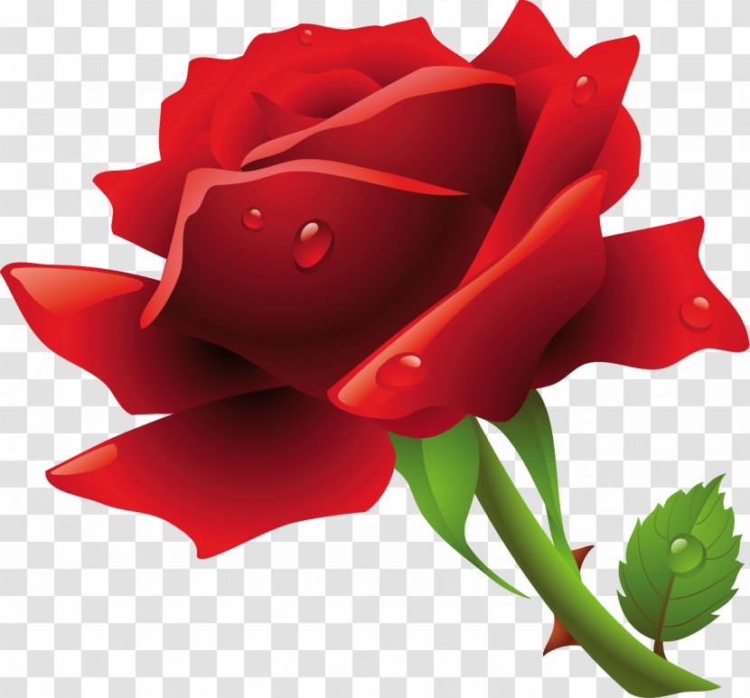 Rose Clip Art - Garden Roses Transparent PNG