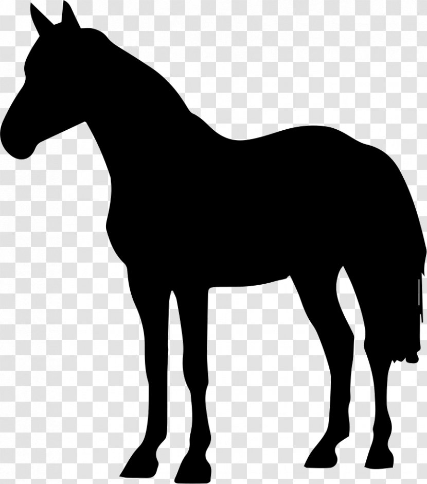 Arabian Horse Black Forest Friesian Silhouette Clip Art - Mule Transparent PNG