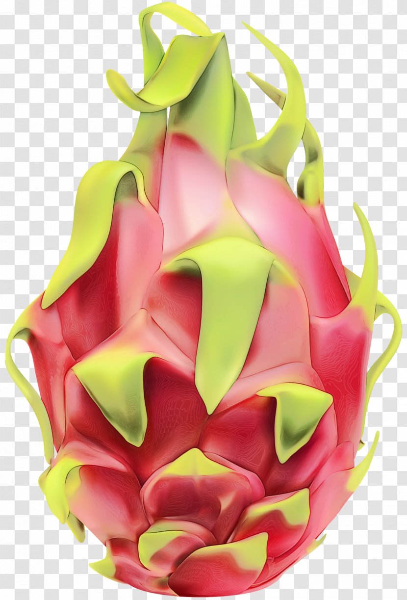 Watercolor Pink Flowers - Flower - Fruit Food Transparent PNG