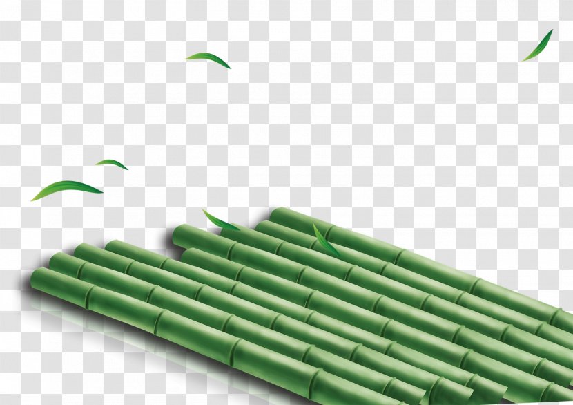 Bamboo Plant - Grass - A Row Of Green Transparent PNG