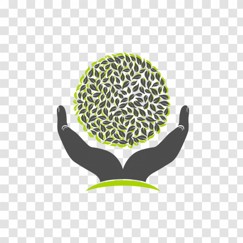 Tree Clip Art - Icon Design Transparent PNG
