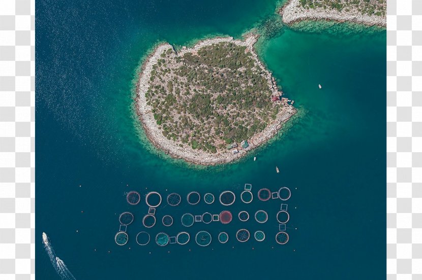 Fish Farming Aerial Photography Photographer - Water Resources - Farm Transparent PNG