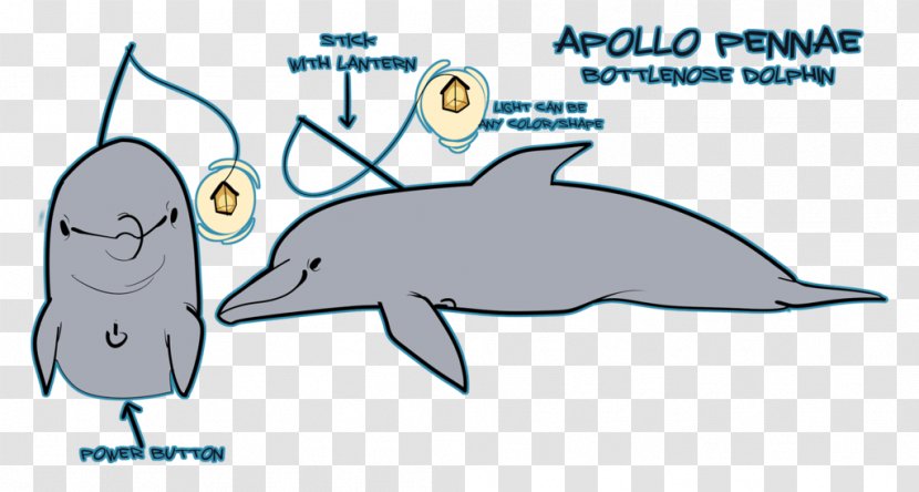 Common Bottlenose Dolphin Tucuxi Porpoise August 10 - Fish Transparent PNG