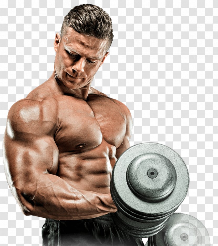 Bodybuilding Supplement Weight Training Physical Exercise - Tree Transparent PNG