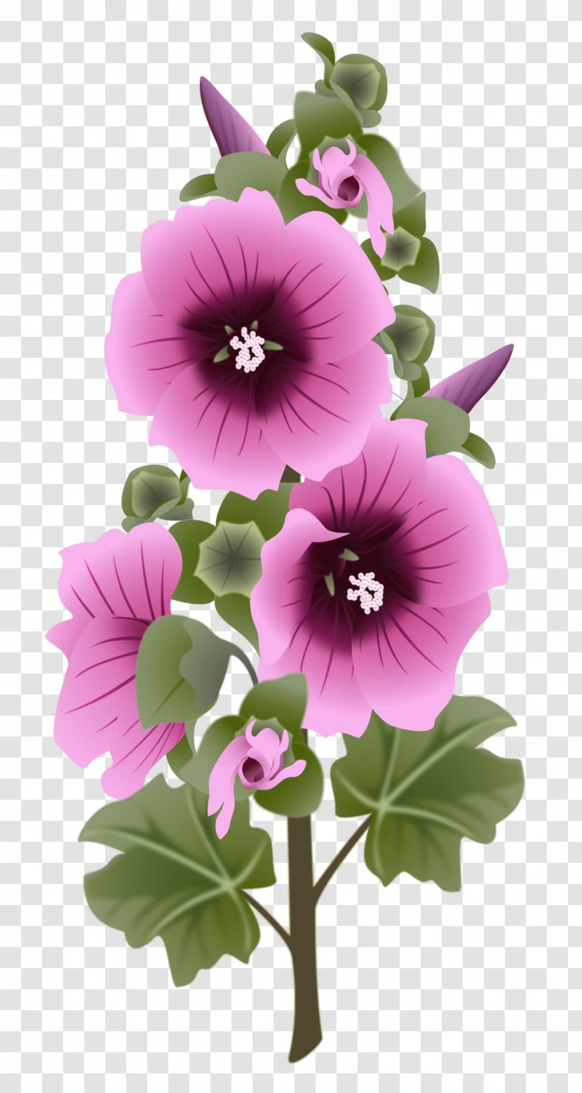 Vector Graphics Flower Hollyhock Floral Design - Purple - Hollyhocks Flowers Transparent PNG
