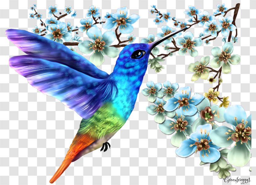 Contact Page Art Hummingbird M - Organism - Stepmother Transparent PNG