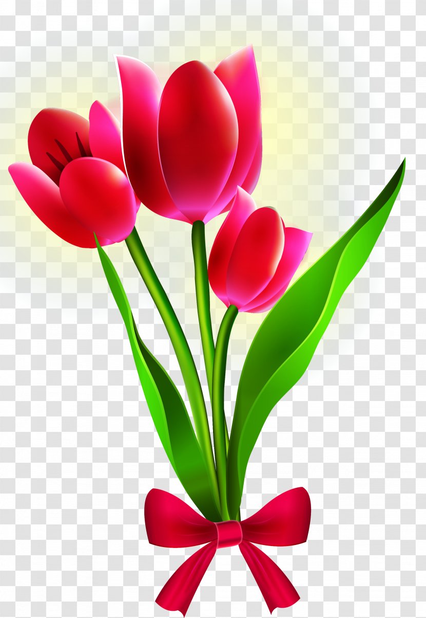 Border Flowers Tulip - Magenta Transparent PNG
