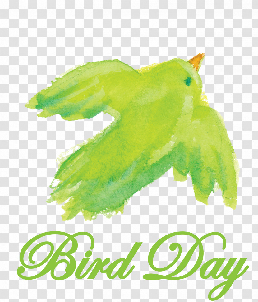 Bird Day Happy Bird Day International Bird Day Transparent PNG