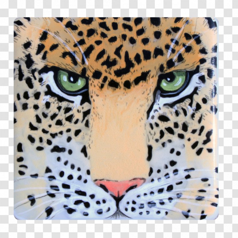 Leopard Jaguar Cheetah Whiskers Snout Transparent PNG