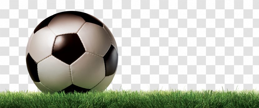 FIFA World Cup Football Grass - Lawn Transparent PNG