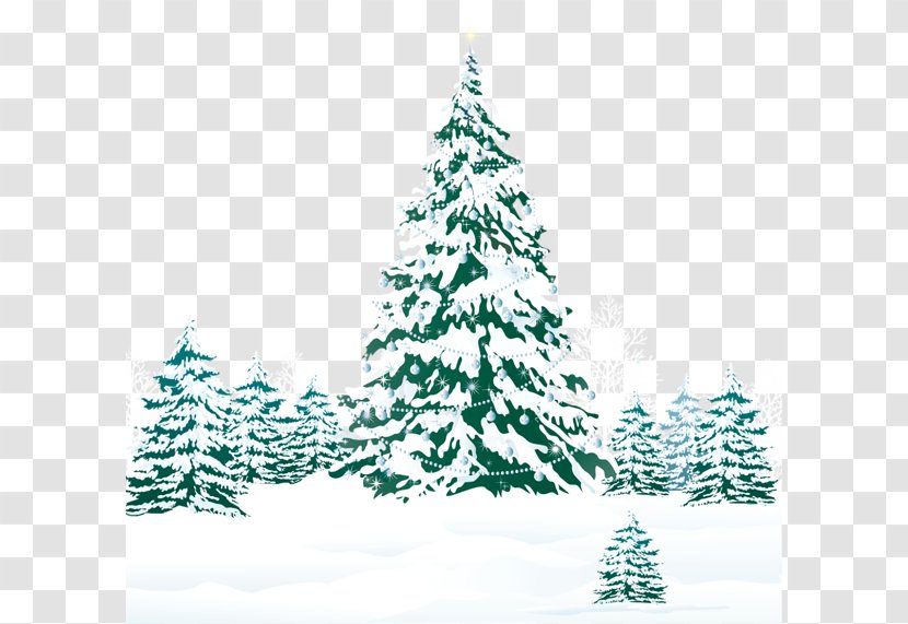 Tree Snow Pine Clip Art - Christmas Ornament - Winter Transparent PNG