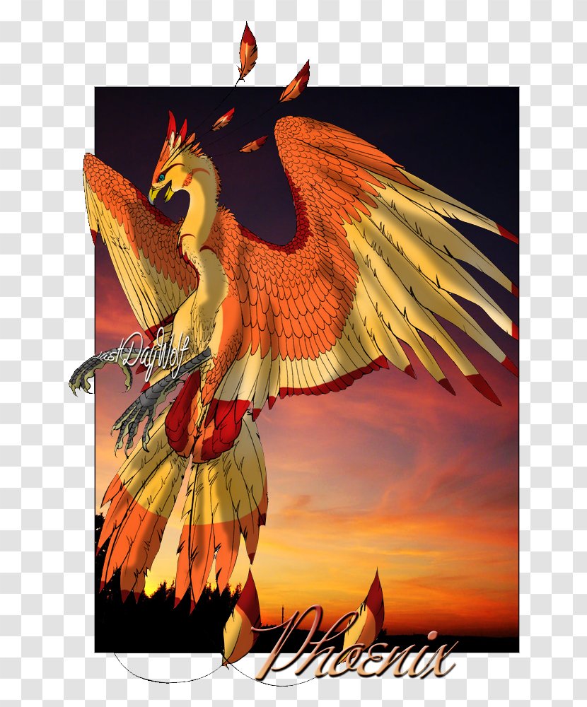 Eagle Poster Beak - Wing Transparent PNG