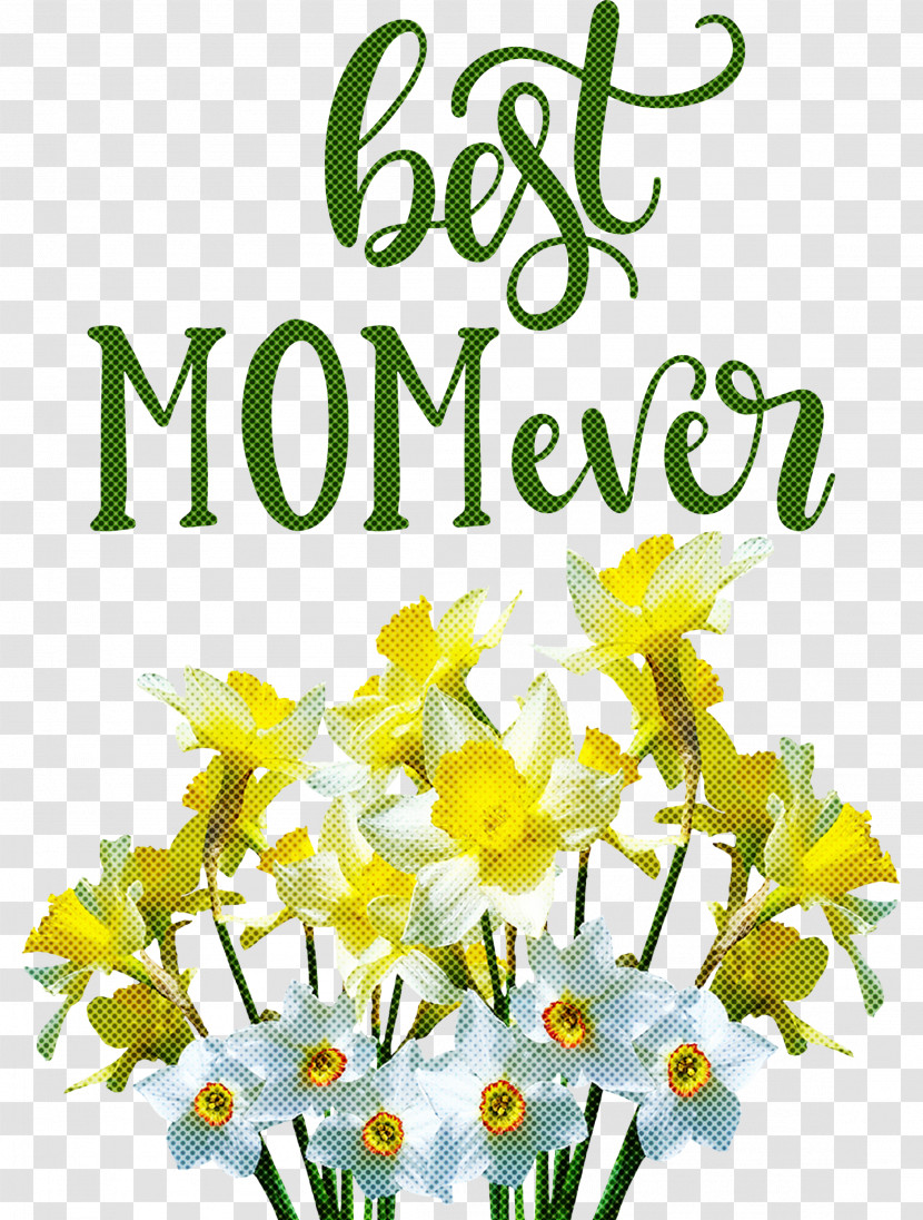 Mothers Day Best Mom Ever Mothers Day Quote Transparent PNG