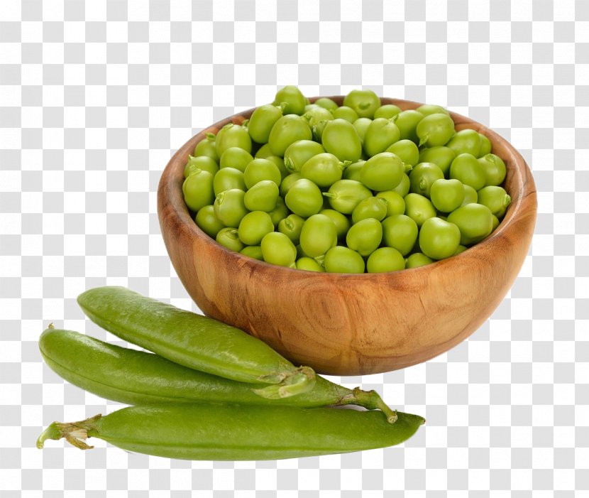 Pea Protein Common Bean Vegetable - Starch Transparent PNG