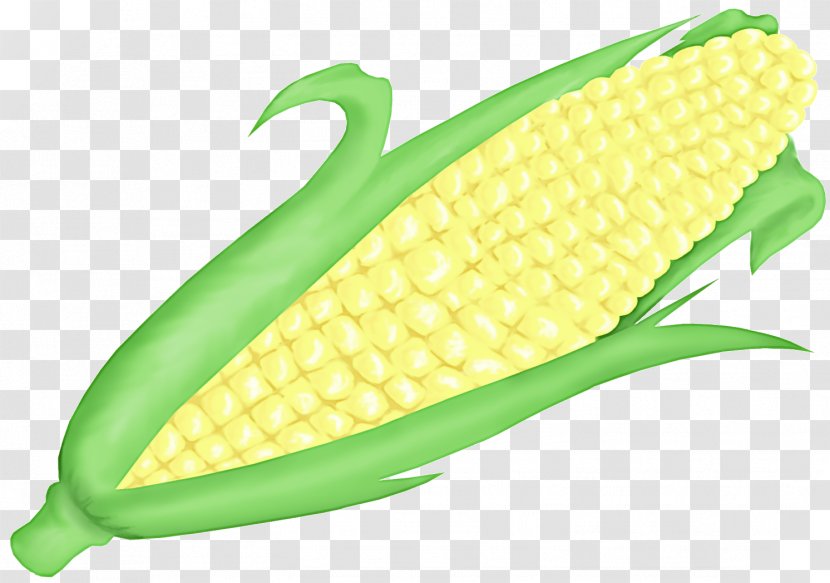 Corn On The Cob Sweet Kernels Vegetable - Food - Legume Transparent PNG