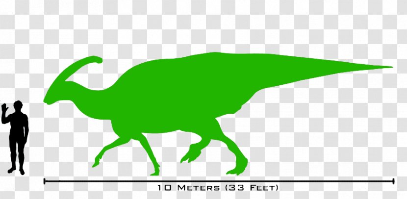 Lambeosaurus Parasaurolophus Dinosaur Size Tyrannosaurus Spinosaurus - Theropods Transparent PNG