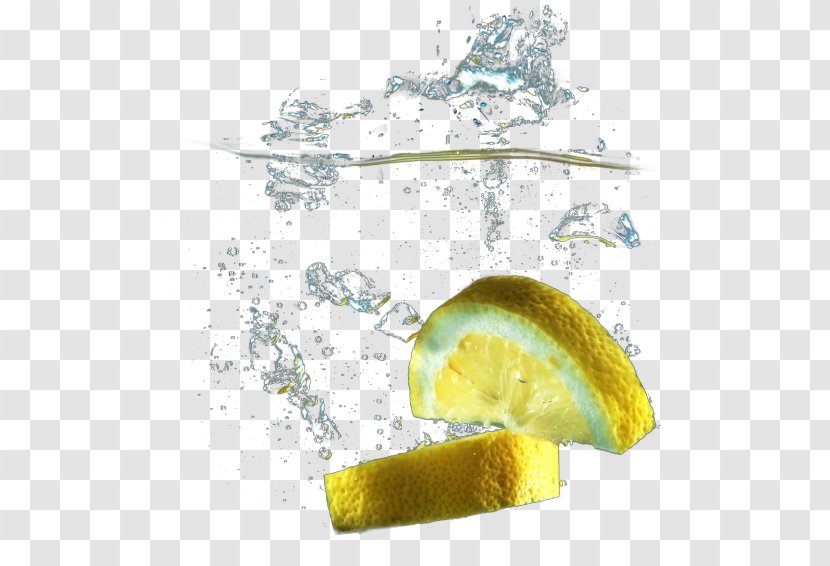 Prague Saliva Organism Food - Fruit Splash Transparent PNG