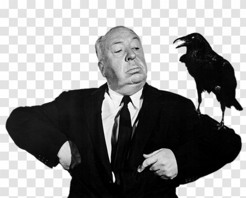 Alfred Hitchcock Filmography The Birds Film Director Transparent PNG