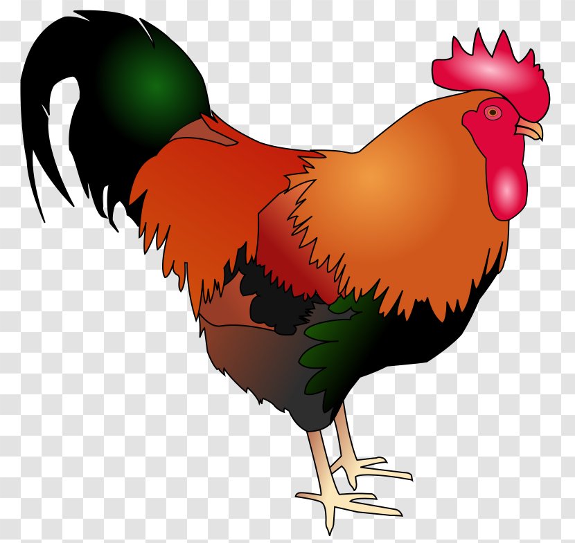 Rooster Welsummer Poultry Animal Clip Art - Big Cock Transparent PNG