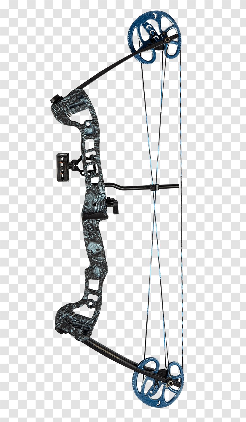 Bow And Arrow Compound Bows Bowfishing Archery - Recreation Transparent PNG
