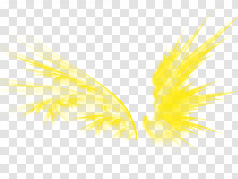Graphic Design Yellow Pattern - Wing - Golden Wings Transparent PNG