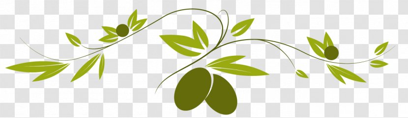 Mediterranean Cuisine Take-out Olive Clip Art - Plant Transparent PNG