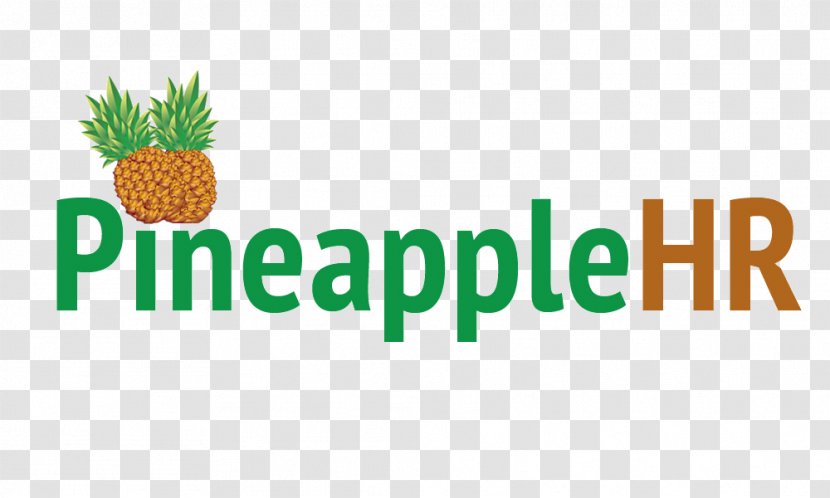 Professional In Human Resources Profitabler Einkauf: Wie Sie Als Einkäufer Garantiert Das Beste Angebot Verhandeln Test Preparation San Diego - Skill - Pineapple Logo Transparent PNG