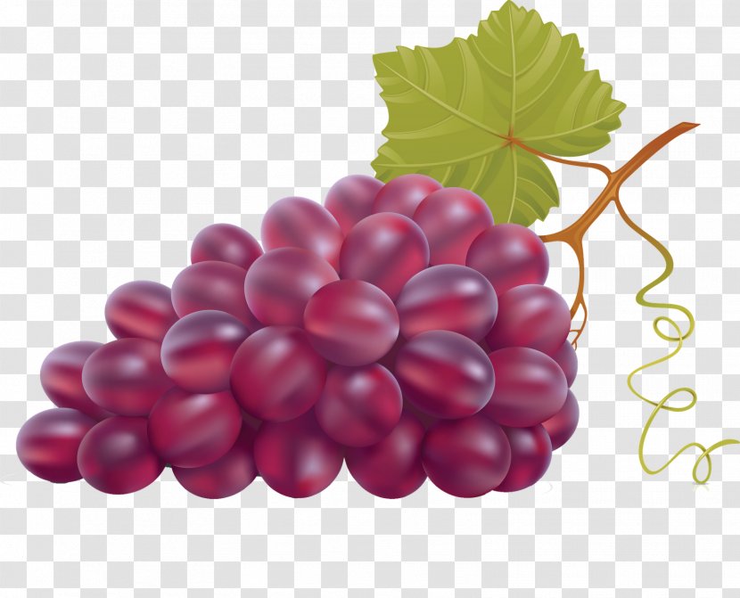 Grape Leaves Wine Grapevines - Fruit Transparent PNG