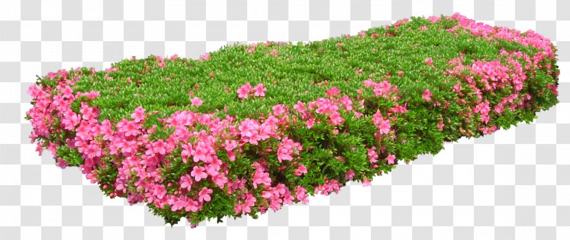 Flower Garden Gratis - Cut Flowers - GARDEN Transparent PNG