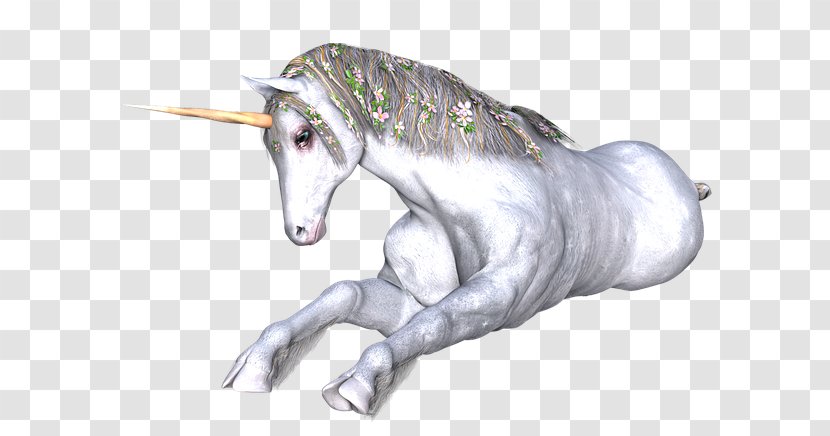 Unicorn Horn Drawing Horse Fairy Tale Transparent PNG