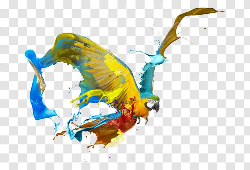 Graphic Design Art - Logo - Bird Transparent PNG