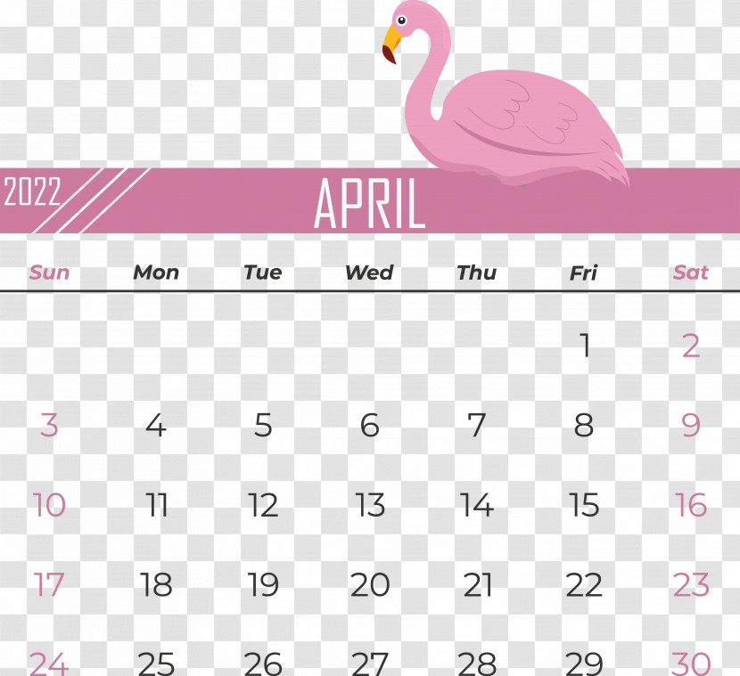 Birds Beak Water Bird Font Calendar Transparent PNG