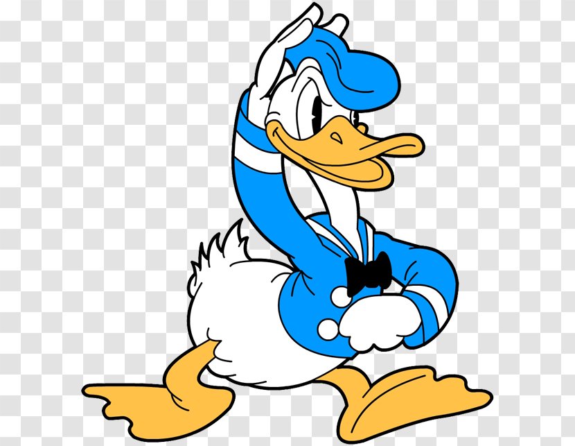 Donald Duck Daisy Scrooge McDuck Mickey Mouse Goofy - Ducks Geese And Swans Transparent PNG