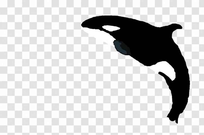 Canidae Dog Marine Mammal Silhouette Clip Art - Killer Whale Transparent PNG