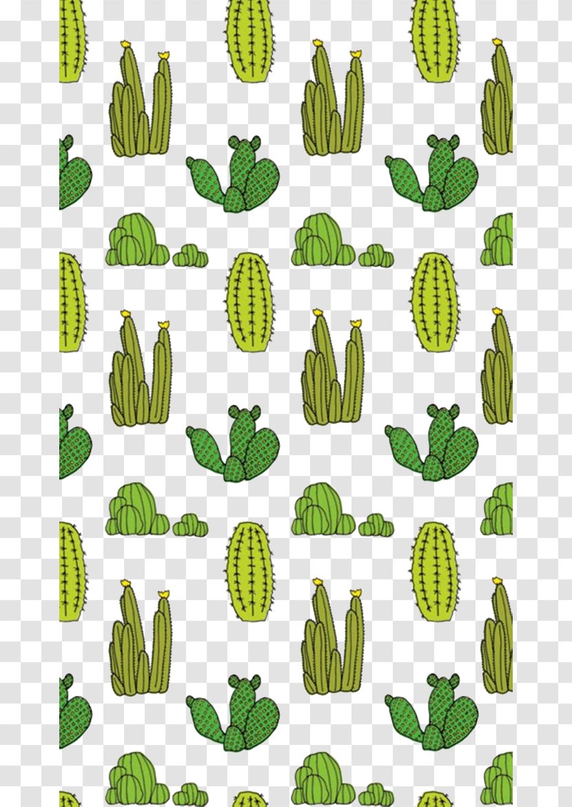 Paper Cactaceae Succulent Plant Wallpaper - Cactus Transparent PNG