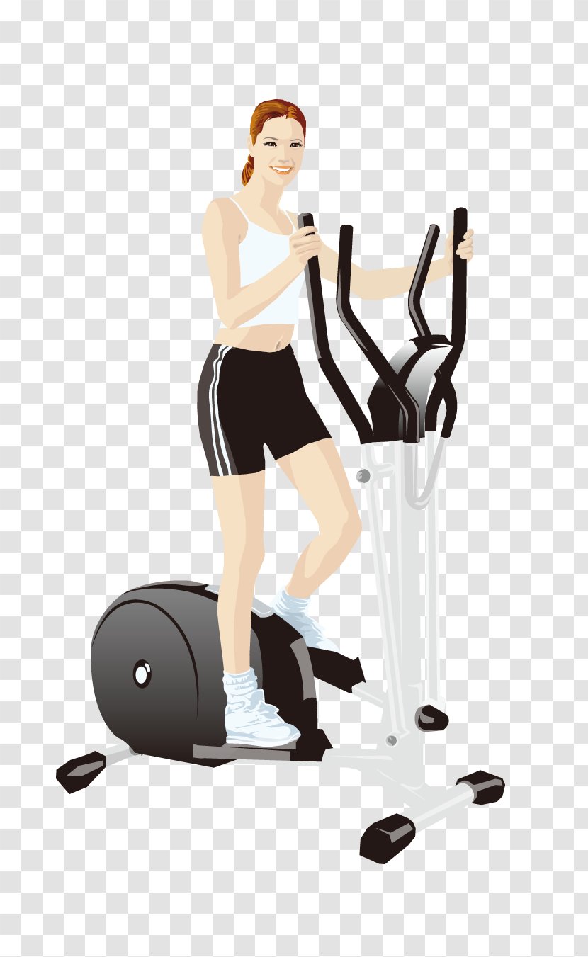 Physical Fitness Treadmill Exercise Ball Equipment - Cartoon - Beauty Transparent PNG