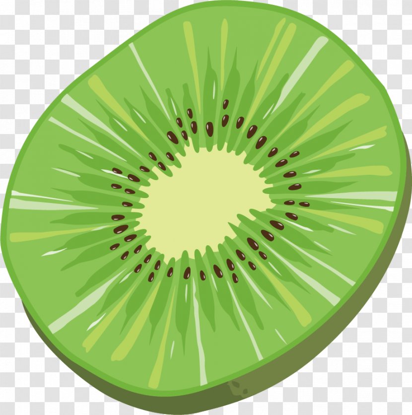 Navajo Nation Kiwifruit - Kiwi Effect Element Vector Material Free Dig Transparent PNG