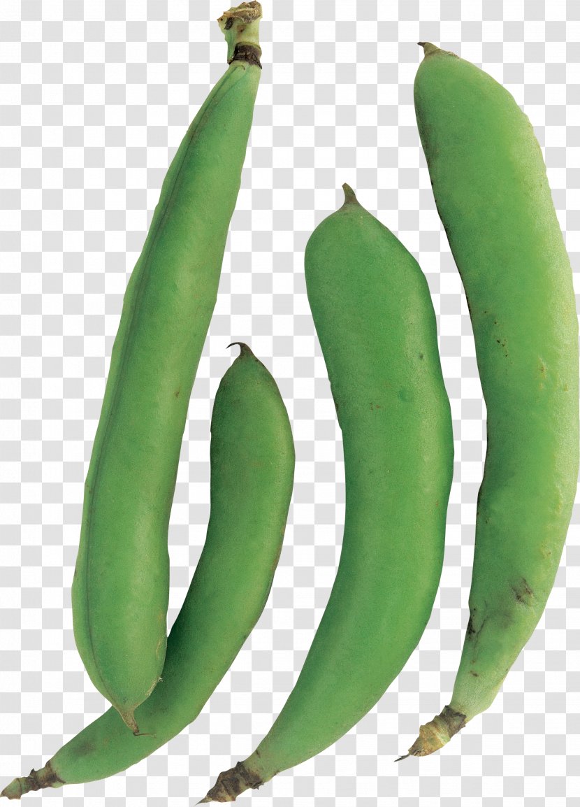 Pea Legume Common Bean Food Lima - Black Beans Transparent PNG
