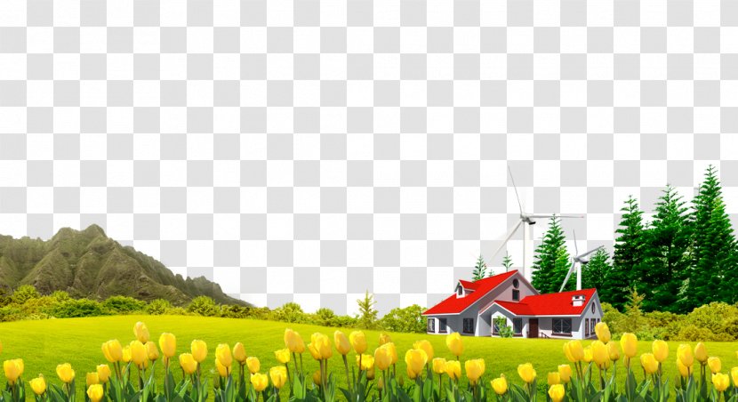 Download Google Images Computer File - Resource - Hill House Tulip Free To Pull The Material Transparent PNG